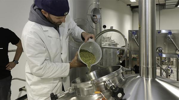 Workshop: Beer Brewing in Practice