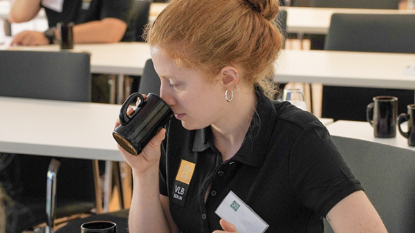 Sensory Analysis for Kombucha