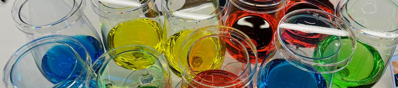 VLB offered sensory training for Grolsch Brewery VLB offered sensory training for Grolsch Brewery