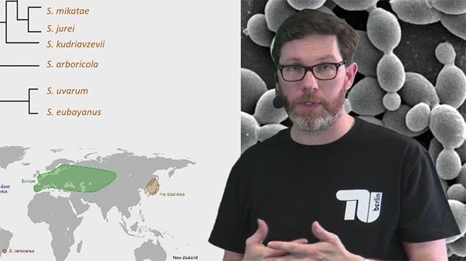 Dr. Brian Gibson