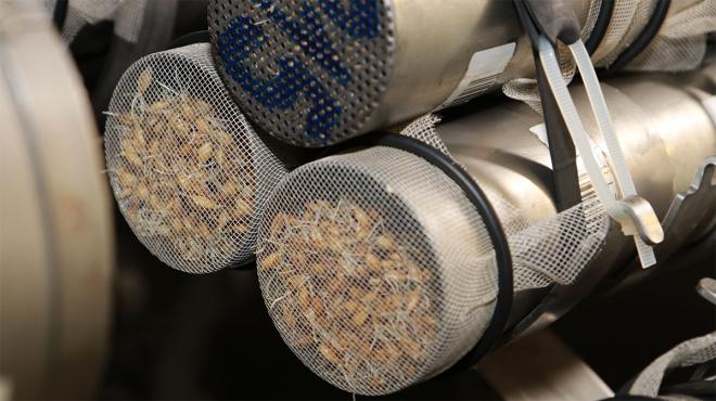 Steeping / germination device Steeping / germination device