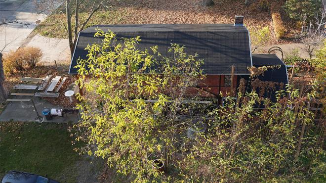 Roof of the Berlin Brewers' Guild House refurbished with the support of the ehem. VLBer