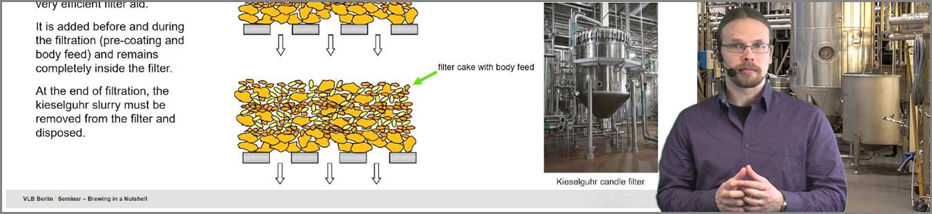 Online Seminar: Brewing in a Nutshell