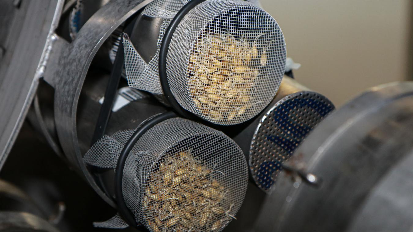 Mälzungsgut-Trommel Detail