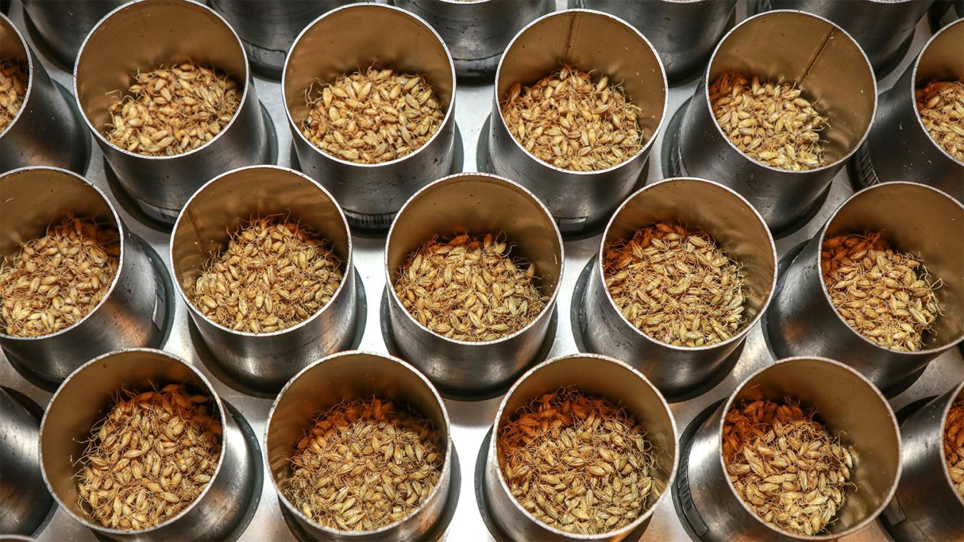 Mälzungstrommel im Detail