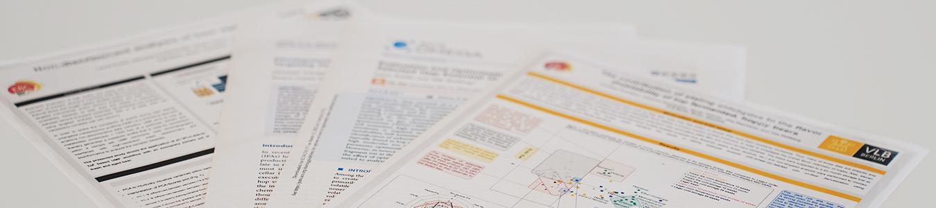 FIRGA Veröffentlichungen FIRGA Veröffentlichungen